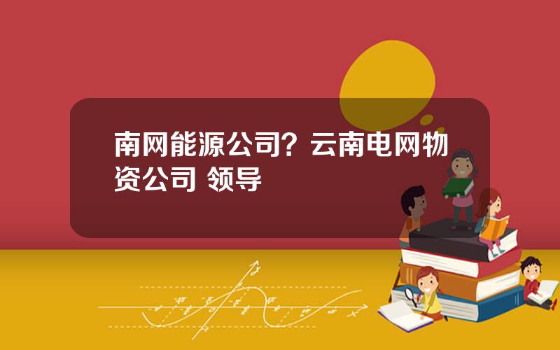 南网能源公司？云南电网物资公司 领导